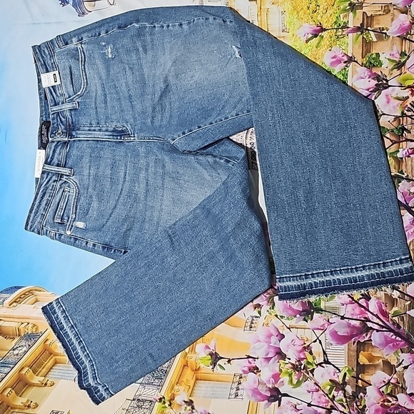 Judy Blue Distressed Raw Hem High Waisted Jeans‎ Size 14W NWT - Picture 4 of 9
